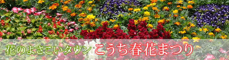 2012年5月3日（木）～5日（土）　花のよさこいタウン　こうち春花まつり